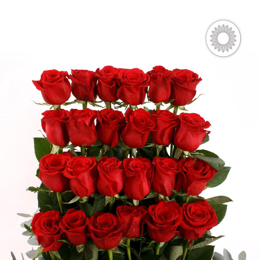 Arreglo de 24 Rosas Rojas-Pievescola-
