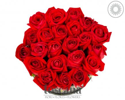 Caja de 22 Rosas Rojas -Chiusi-