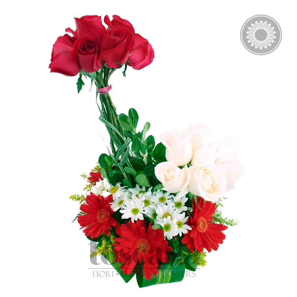Arreglo de 8 Rosas Rojas y Rosas Blancas - Galluzo II -