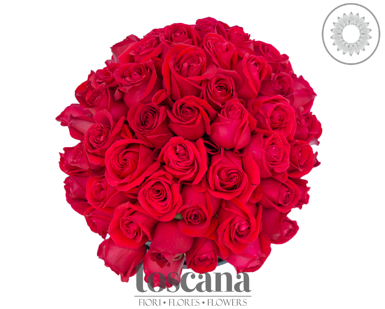 Caja de 60 Rosas Rojas -Sorano-